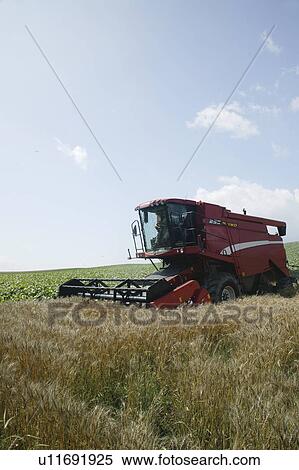 Combine harvester harvesting wheat in field View Large Photo Image Stock Photography - Combine harvester harvesting wheat in field. Fotosearch