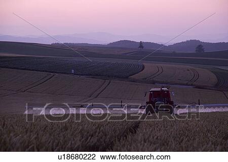 Stock Image - Cultivation in wheat field. Fotosearch