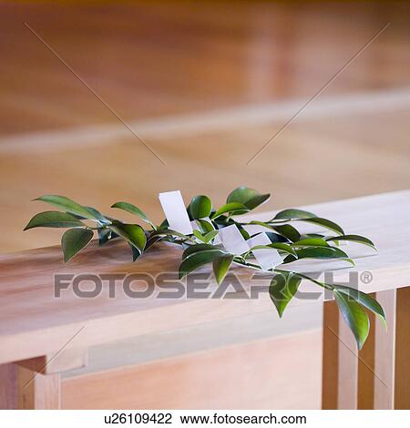 Plant put on Shinto altar View Large Photo Image Stock Image - Plant put on Shinto altar. Fotosearch