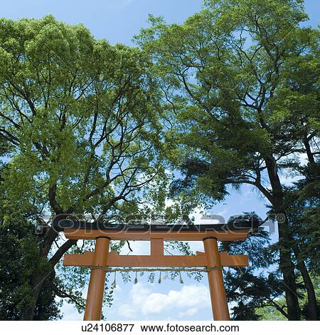 Stock Photo - Torii gate at shrine. Fotosearch