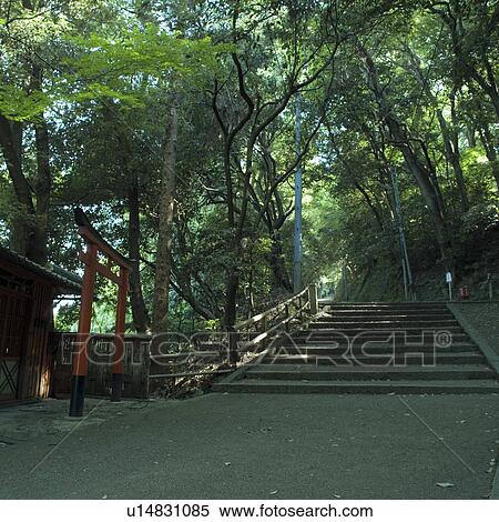 Torii gate at shrine View Large Photo Image Stock Photography - Torii gate at shrine. Fotosearch
