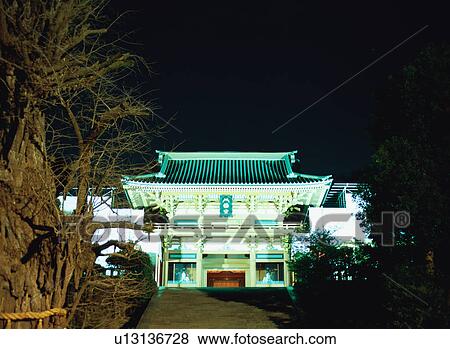 Tsurugaoka Hachimangu Shrine, Kamakura, Kanagawa, Japan View Large Photo Image Stock Photo - Tsurugaoka Hachimangu Shrine, Kamakura, Kanagawa, Japan. Fotosearch