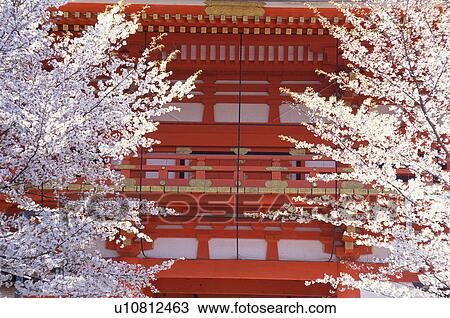 Yasaka-jinja Shrine, Kyoto Prefecture, Japan View Large Photo Image Stock Image - Yasaka-jinja Shrine, Kyoto Prefecture, Japan. Fotosearch