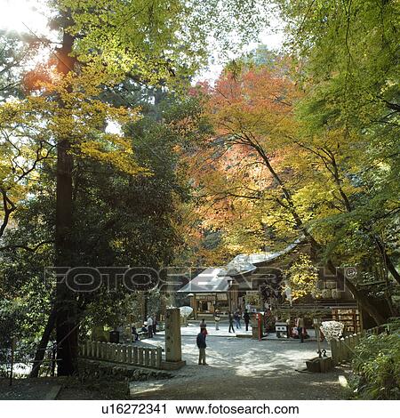 Yuki Shrine, Kyoto Prefecture, Japan View Large Photo Image Stock Image - Yuki Shrine, Kyoto Prefecture, Japan. Fotosearch