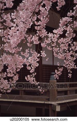 Stock Photography - Daigo-ji Temple, Kyoto Prefecture, Japan. Fotosearch