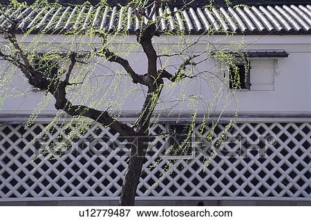 Stock Photo - Higashi Honganji Temple, Kyoto Prefecture, Japan. Fotosearch