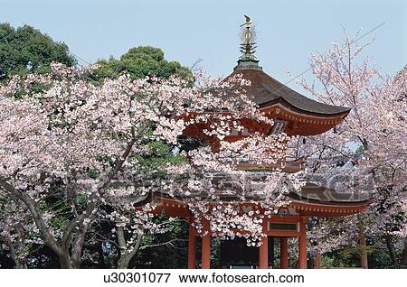 Stock Photo - Kodai-ji Temple, Kyoto Prefecture, Japan. Fotosearch