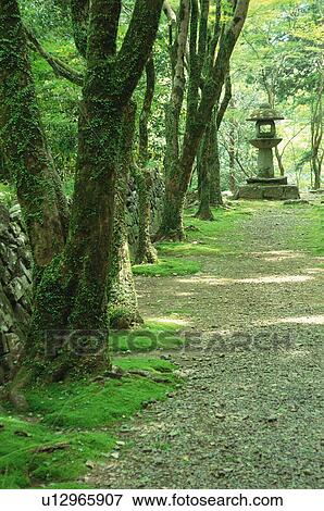 Stock Photo - Kozan-ji Temple, Kyoto Prefecture, Japan. Fotosearch