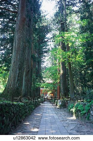 Kozenji Temple, Nagano Prefecture, Japan View Large Photo Image Stock Image - Kozenji Temple, Nagano Prefecture, Japan. Fotosearch