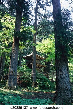 Kozenji Temple, Nagano Prefecture, Japan View Large Photo Image Stock Photo - Kozenji Temple, Nagano Prefecture, Japan. Fotosearch