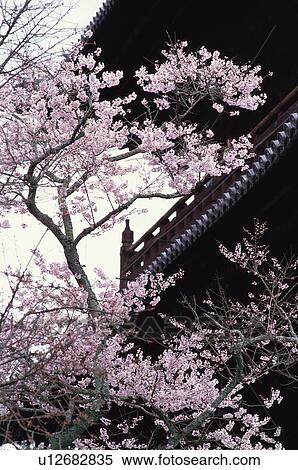 Stock Photography - Nanzenji Temple, Kyoto Prefecture, Japan. Fotosearch