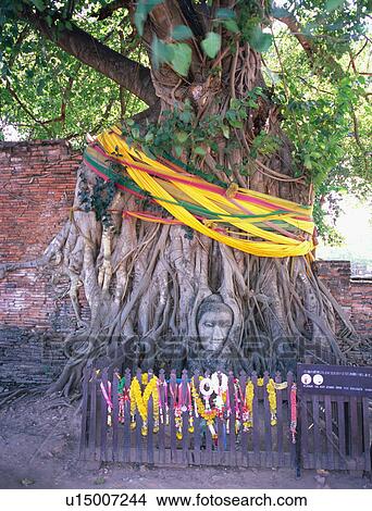 Picture - Wat Phra Mahathat . Fotosearch