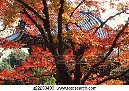 Stock Image - Yoshimine-dera Temple, Kyoto Prefecture, Japan. Fotosearch