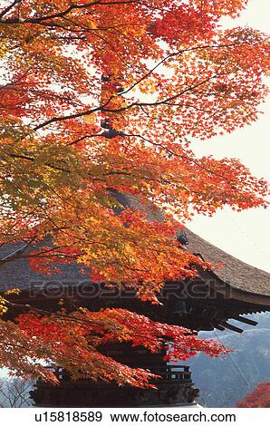 Stock Photo - Yoshimine-dera Temple, Kyoto Prefecture, Japan. Fotosearch