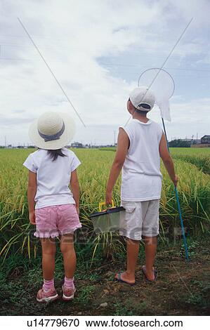 Boy and girl standing in rice paddy View Large Photo Image Stock Image - Boy and girl standing in rice paddy. Fotosearch