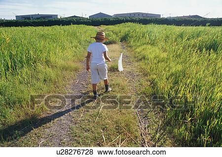 Boy catching insects in field View Large Photo Image Stock Photo - Boy catching insects in field. Fotosearch