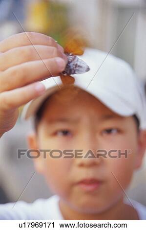 Stock Image - Boy holding cicada. Fotosearch