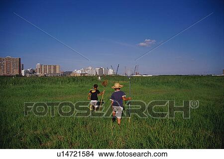 Picture - Boys catching insects in field. Fotosearch