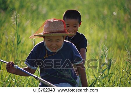 Boys catching insects in field View Large Photo Image Stock Image - Boys catching insects in field. Fotosearch