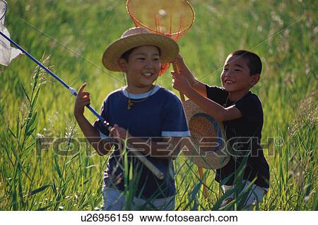 Boys catching insects in field View Large Photo Image Stock Photo - Boys catching insects in field. Fotosearch