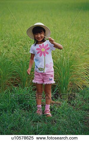 Girl standing in rice paddy holding toy View Large Photo Image Stock Photography - Girl standing in rice paddy holding toy. Fotosearch