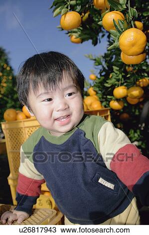 Stock Image - Portrait of a boy standing under orange tree. Fotosearch