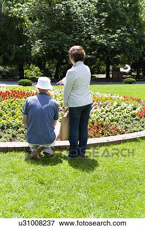 Senior couple looking at flowers, rear view View Large Photo Image Stock Photo - Senior couple looking at flowers, rear view. Fotosearch