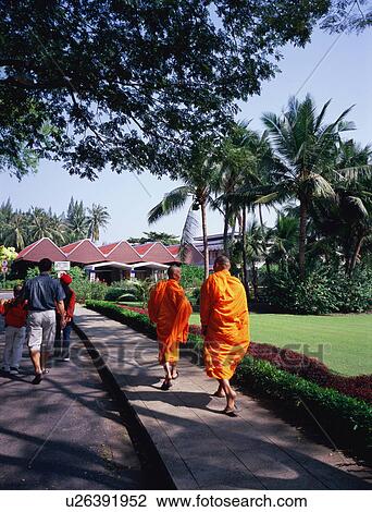 Thai monks walking in rose garden View Large Photo Image Stock Image - Thai monks walking in rose garden. Fotosearch