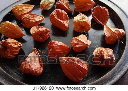 Close-up of fruit in a plate View Large Photo Image Stock Image - Close-up of fruit in a plate. Fotosearch
