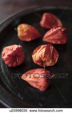 Close-up of fruit in a plate View Large Photo Image Stock Photography - Close-up of fruit in a plate. Fotosearch