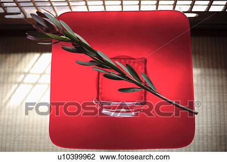 View of a flower stem over red placemat View Large Photo Image Stock Image - View of a flower stem over red placemat. Fotosearch