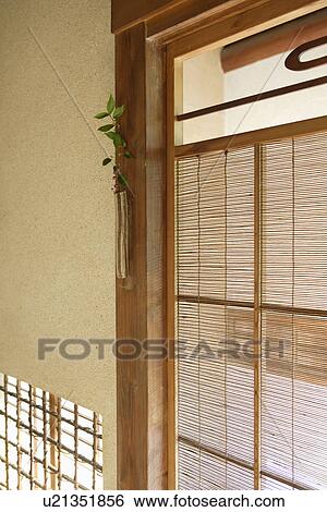 Stock Photograph - View of a plant near a window. Fotosearch