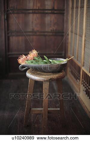 View of flowers in tray on a stool View Large Photo Image Stock Photo - View of flowers in tray on a stool. Fotosearch