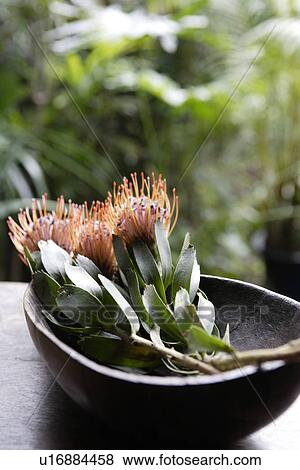 Stock Photo - View of flowers in tray on a table. Fotosearch