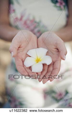 Stock Image - A woman holding flower. Fotosearch