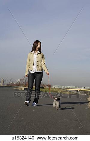 View of a young woman walking with her pet dog View Large Photo Image Stock Image - View of a young woman walking with her pet dog. Fotosearch