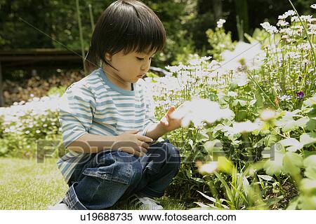 A young boy looks over the flowers in garden View Large Photo Image Stock Photography - A young boy looks over the flowers in garden. Fotosearch
