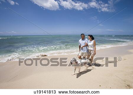 Stock Image - A couple walking with dog at beach. Fotosearch