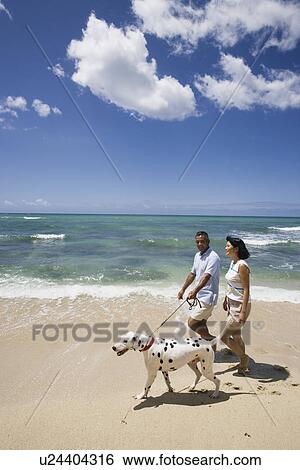 Stock Photograph - A couple walking with dog at beach. Fotosearch