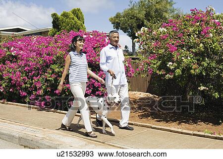 Stock Image - A couple walking with dog in park. Fotosearch