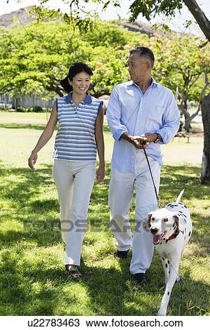 A couple walking with dog in park View Large Photo Image Stock Image - A couple walking with dog in park. Fotosearch