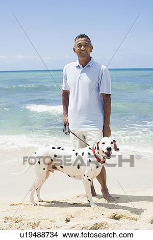 Man standing with dog at beach View Large Photo Image Picture - Man standing with dog at beach. Fotosearch