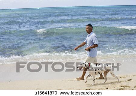 Stock Image - Man walking with dog at beach. Fotosearch