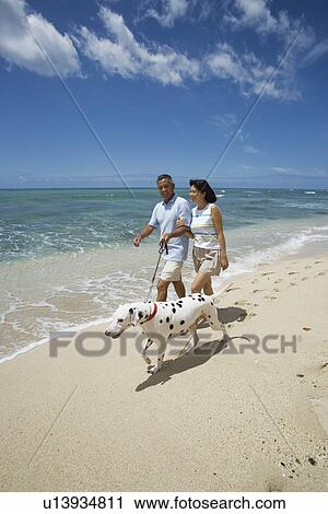People walking on beach with dog View Large Photo Image Stock Image - People walking on beach with dog. Fotosearch