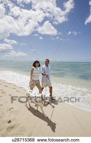People walking on beach with dog View Large Photo Image Stock Photo - People walking on beach with dog. Fotosearch