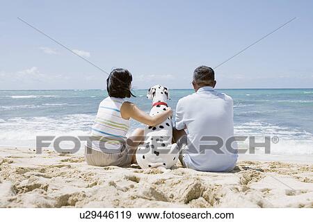 Rear view of a couple sitting with dog at beach View Large Photo Image Stock Photo - Rear view of a couple sitting with dog at beach. Fotosearch