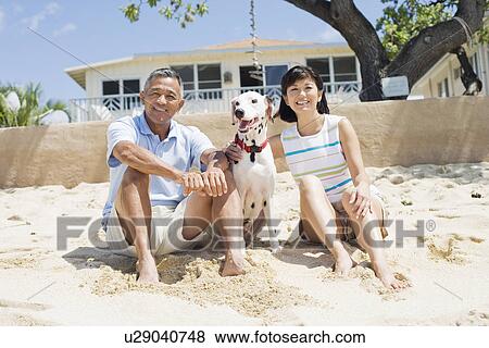 View of a couple sitting with dog View Large Photo Image Stock Photo - View of a couple sitting with dog. Fotosearch