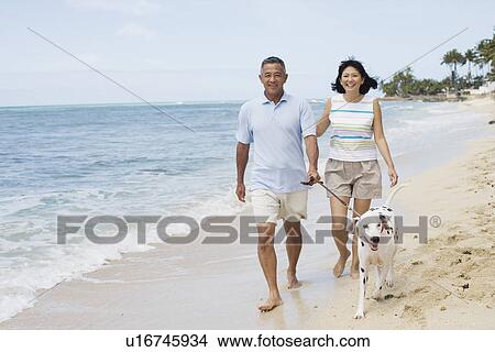 Picture - View of a couple walking with dog at beach. Fotosearch