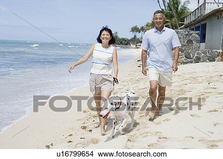Picture - View of a couple walking with dog at beach. Fotosearch