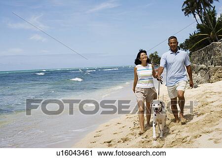 View of a couple walking with dog at beach View Large Photo Image Stock Image - View of a couple walking with dog at beach. Fotosearch